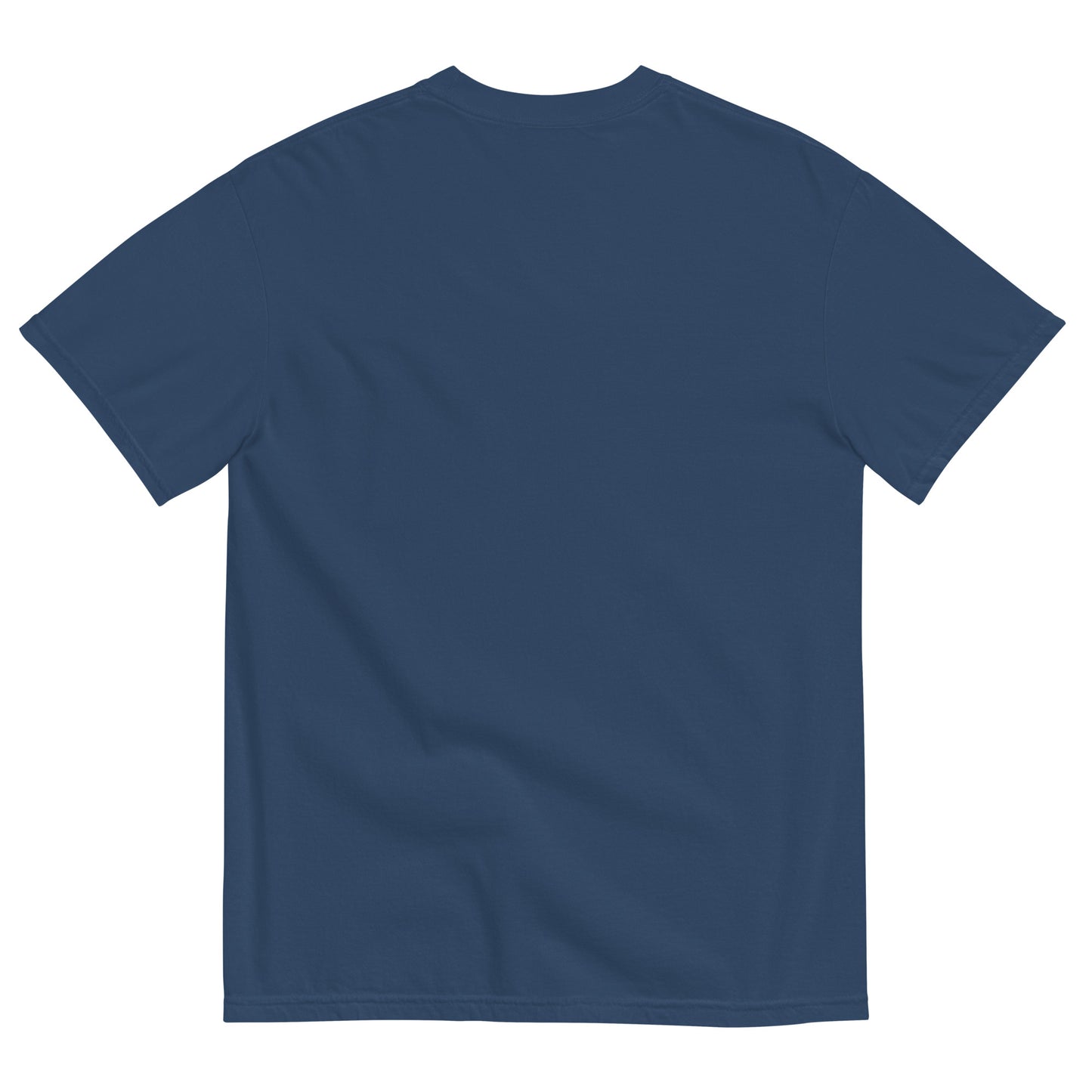 Love Swan City - Lakeland FL - garment-dyed t-shirt